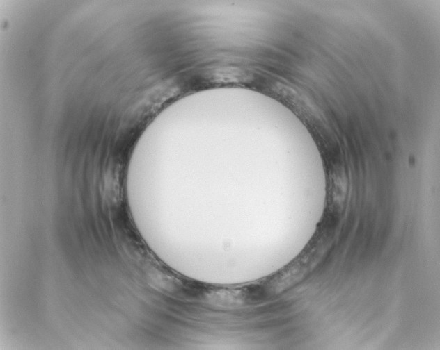 X0000088170422200706051121