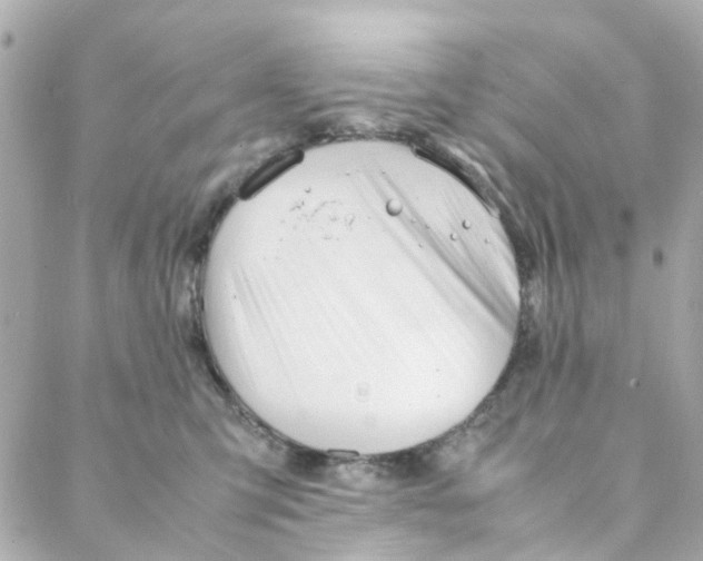 X0000088170423200706051121