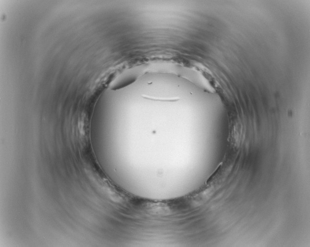 X0000088170424200706051121