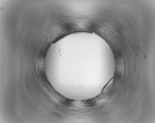 X0000088170425200706051121