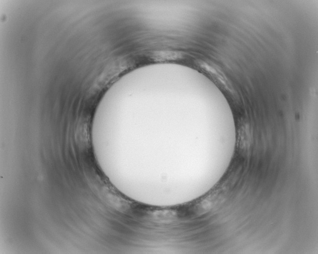 X0000088170426200706051121