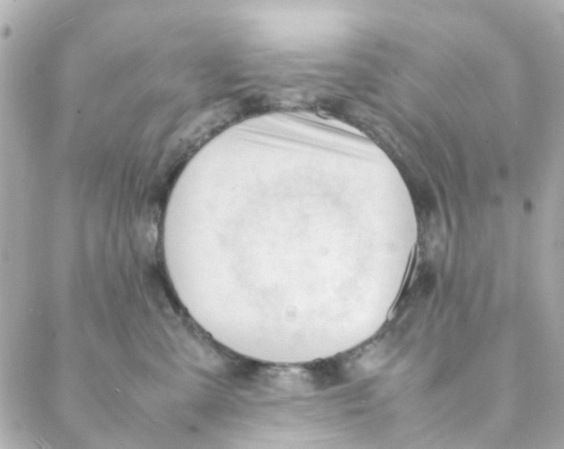 X0000088170427200706051121