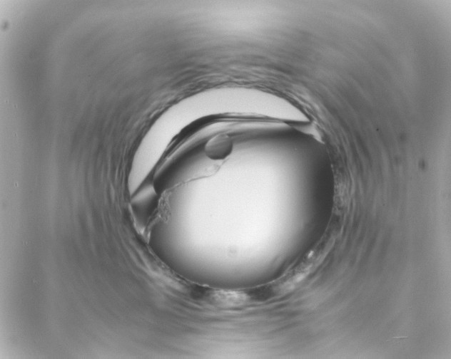 X0000088170429200706051121