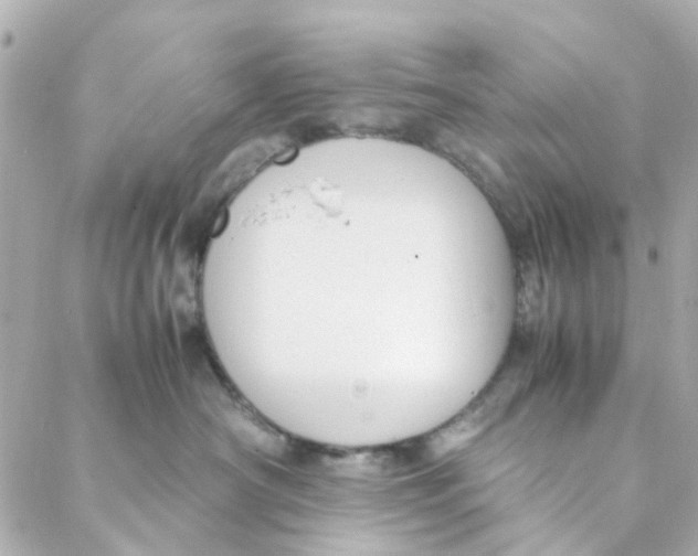 X0000088170430200706051121