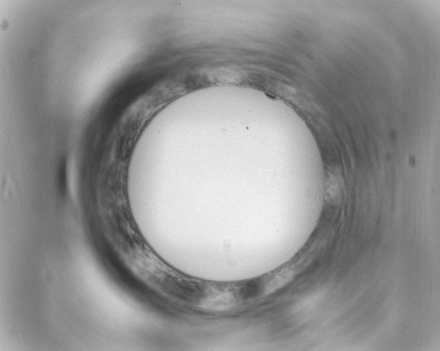 X0000088170431200706051121