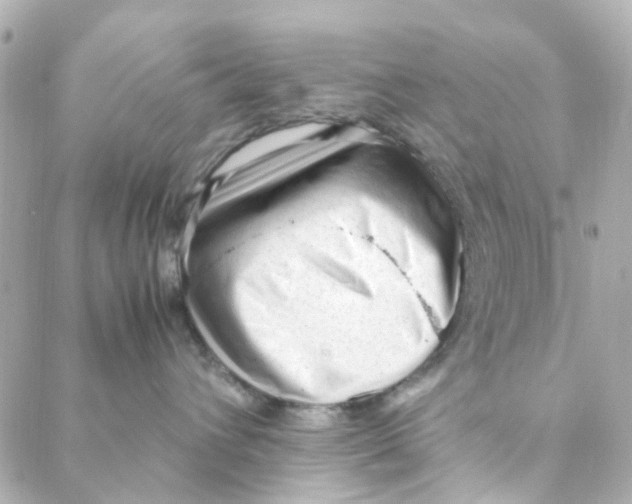 X0000088170432200706051121