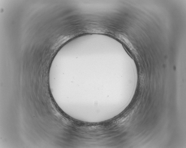 X0000088170433200706051120