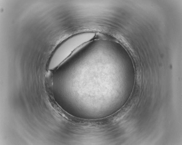 X0000088170434200706051120