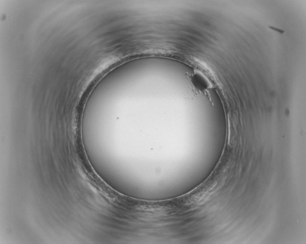 X0000088170435200706051120