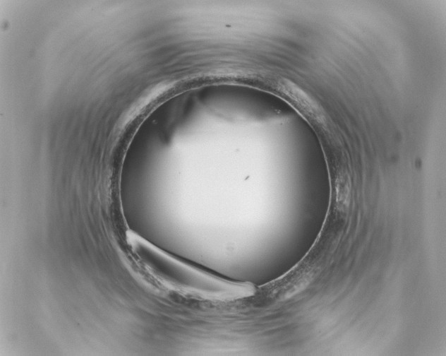 X0000088170436200706051120