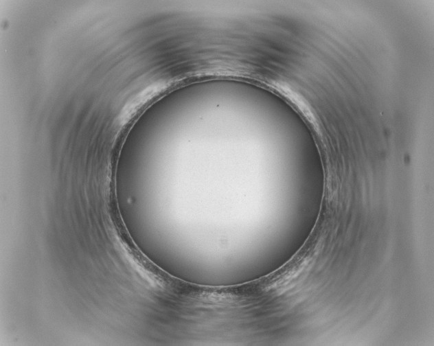 X0000088170437200706051120