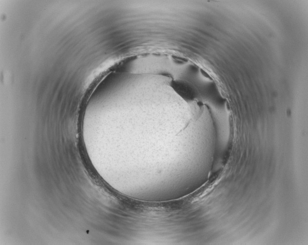 X0000088170438200706051120