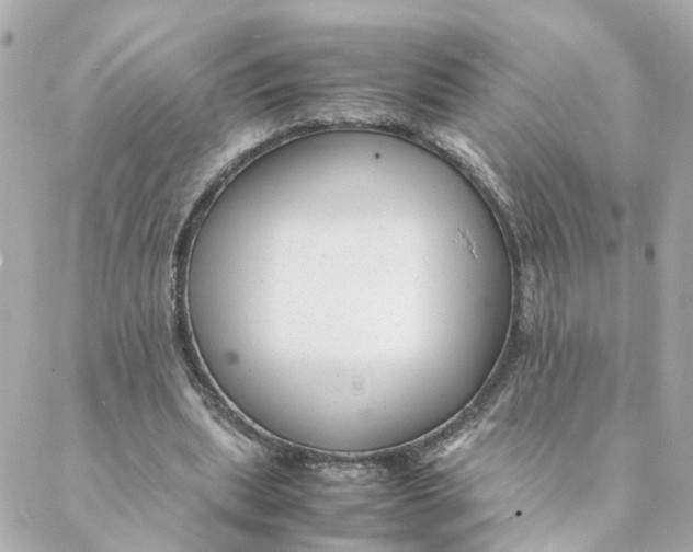 X0000088170439200706051120