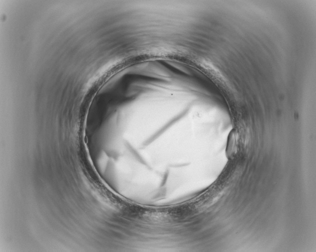 X0000088170440200706051120