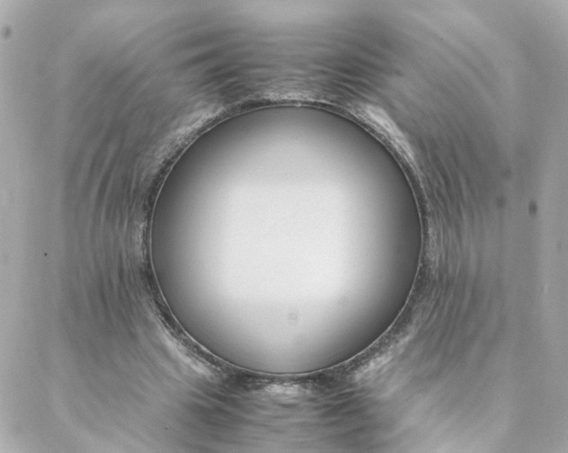 X0000088170441200706051120