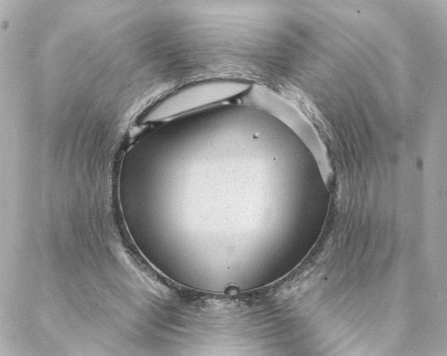 X0000088170442200706051120