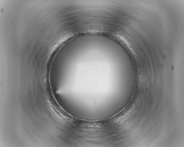 X0000088170443200706051120