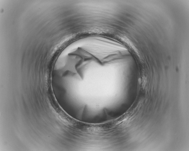 X0000088170444200706051120