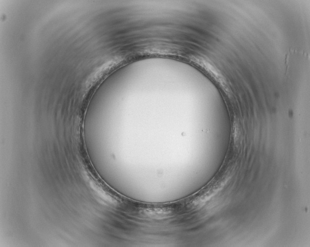 X0000088170445200706051120