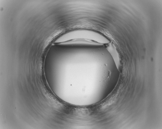 X0000088170446200706051120