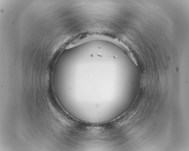 X0000088170448200706051120