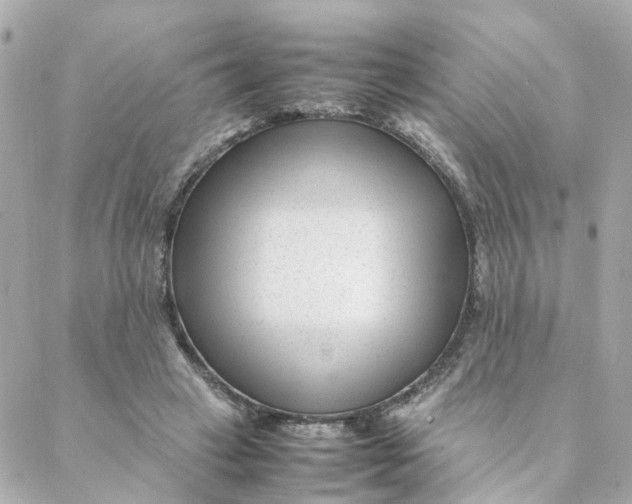 X0000088170449200706051121