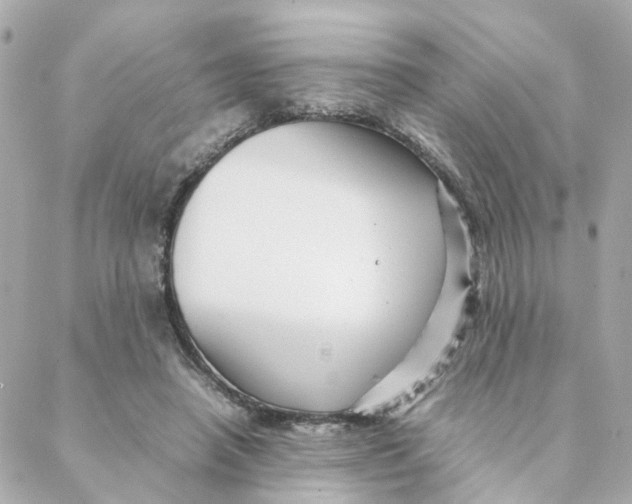 X0000088170450200706051121