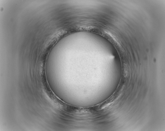 X0000088170451200706051121