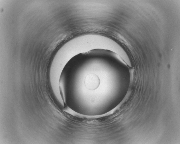 X0000088170452200706051121