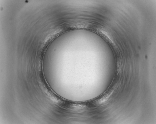 X0000088170453200706051121