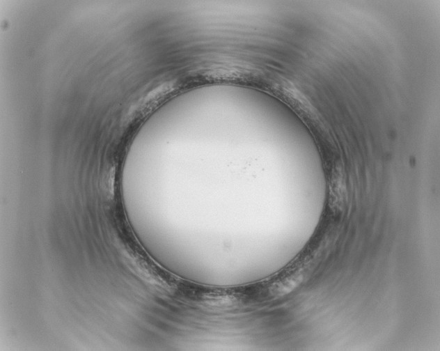 X0000088170454200706051121