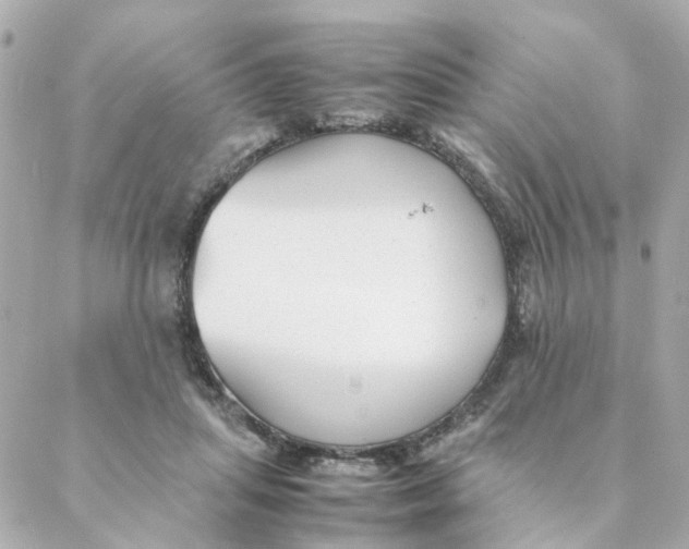 X0000088170455200706051121