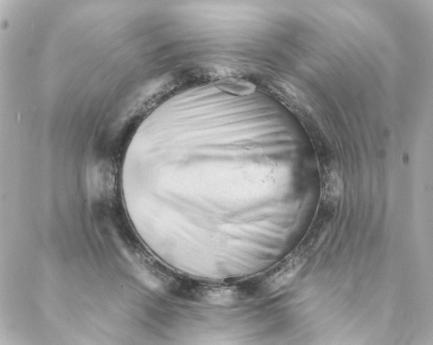 X0000088170456200706051121