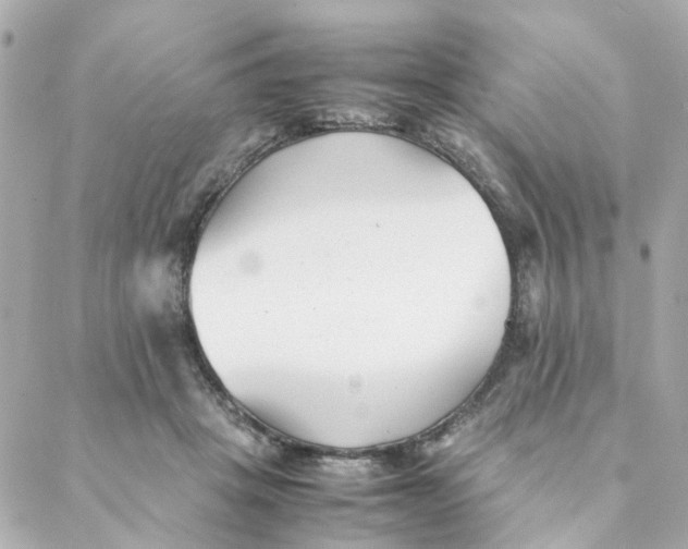 X0000088170457200706051121