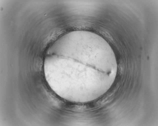 X0000088170458200706051121