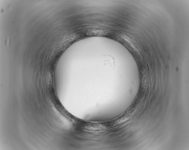 X0000088170459200706051121