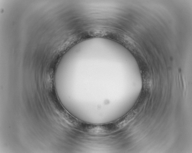 X0000088170460200706051121