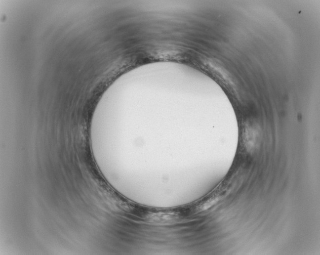 X0000088170461200706051121