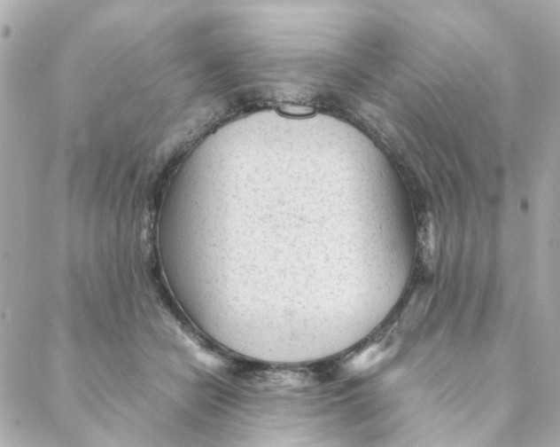 X0000088170462200706051121