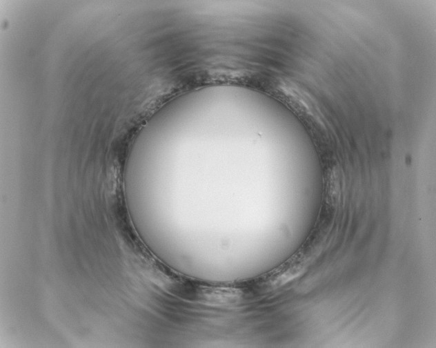 X0000088170463200706051121