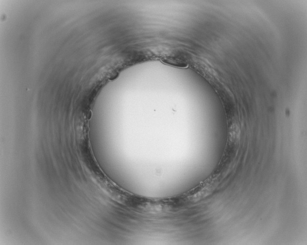 X0000088170464200706051121