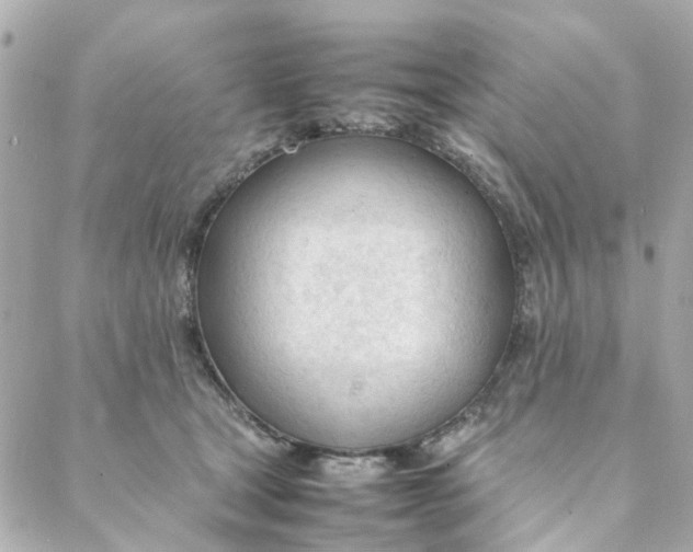 X0000088170465200706051121