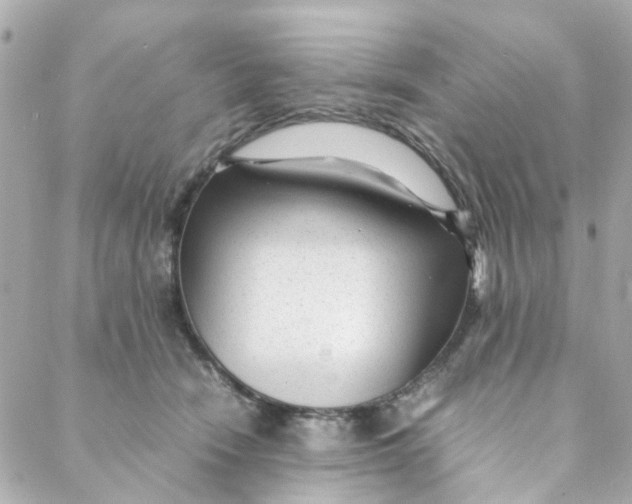 X0000088170466200706051121