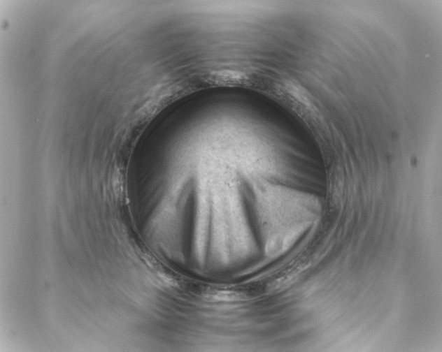 X0000088170467200706051121