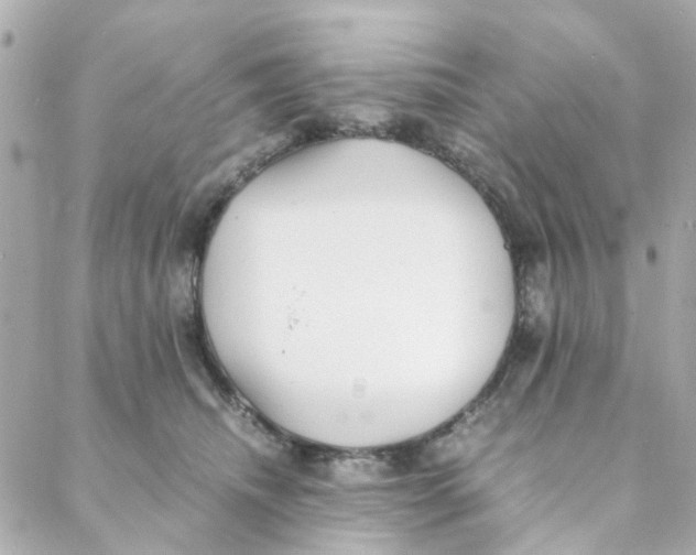 X0000088170468200706051121