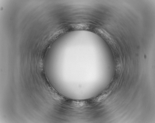 X0000088170469200706051121