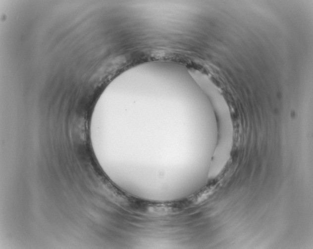 X0000088170470200706051121