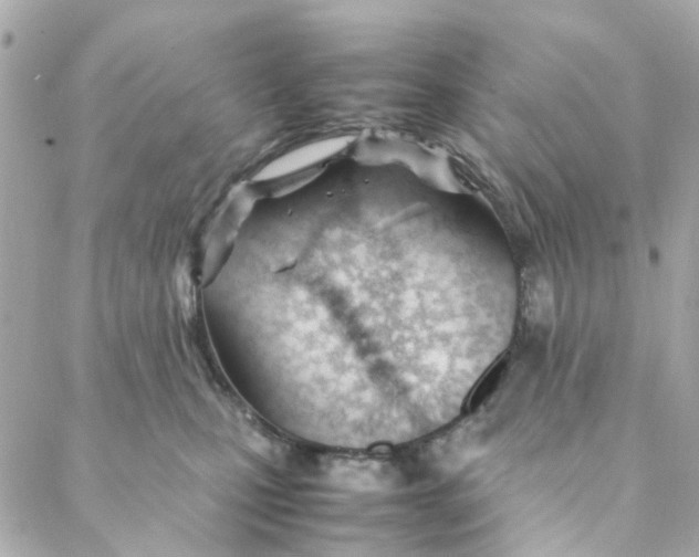 X0000088170471200706051121