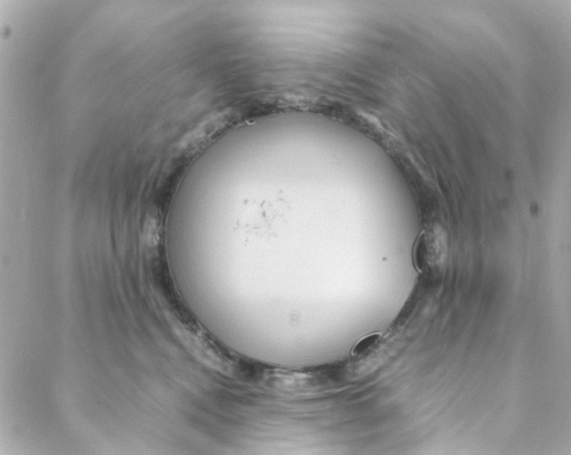 X0000088170472200706051121