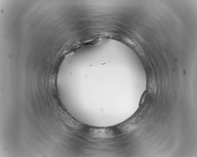 X0000088170473200706051121